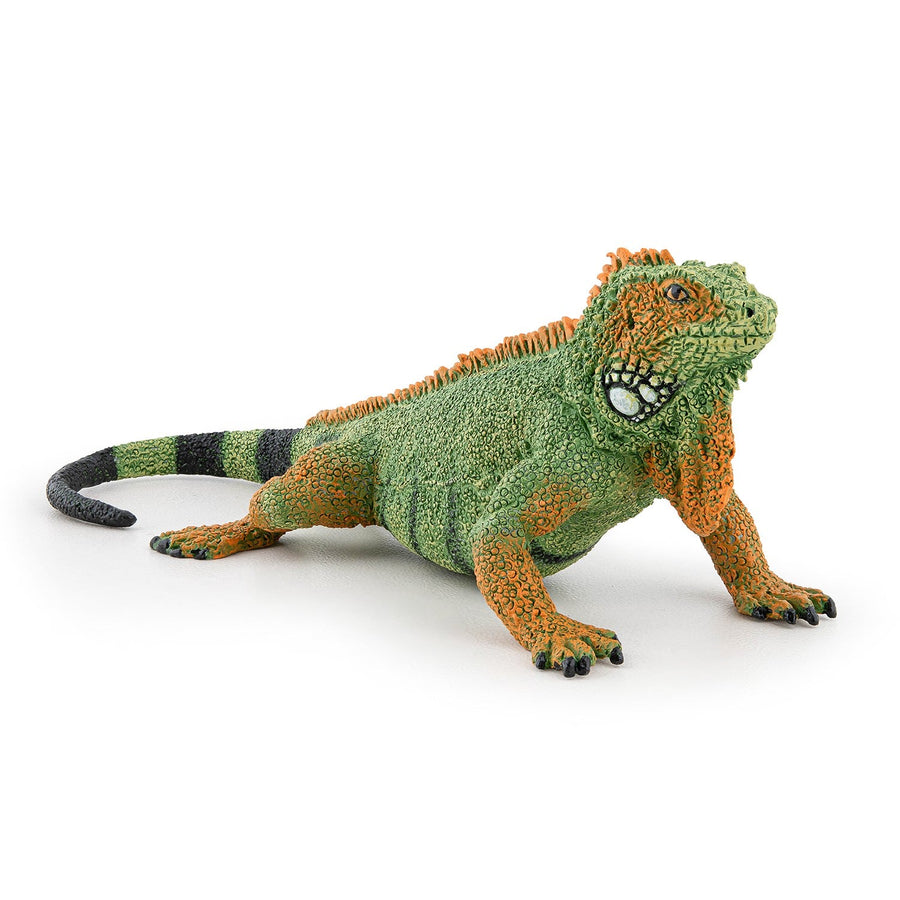 Figurine Iguane Papo en PVC, thème reptiles, Collection Animaux sauvages, jouet éducatif idéal pour enfants et collectionneurs