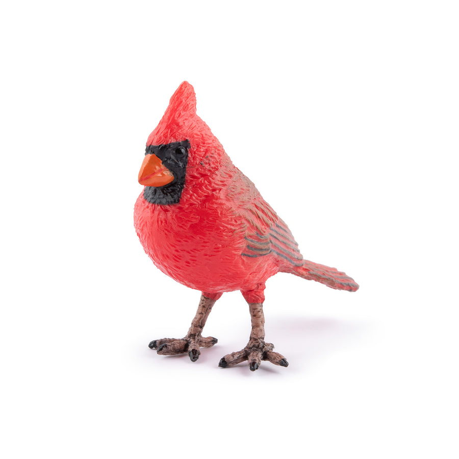 Figurine Cardinal rouge Papo en PVC, thème oiseaux, Collection Animaux des jardins, jouet éducatif idéal pour enfants et collectionneurs