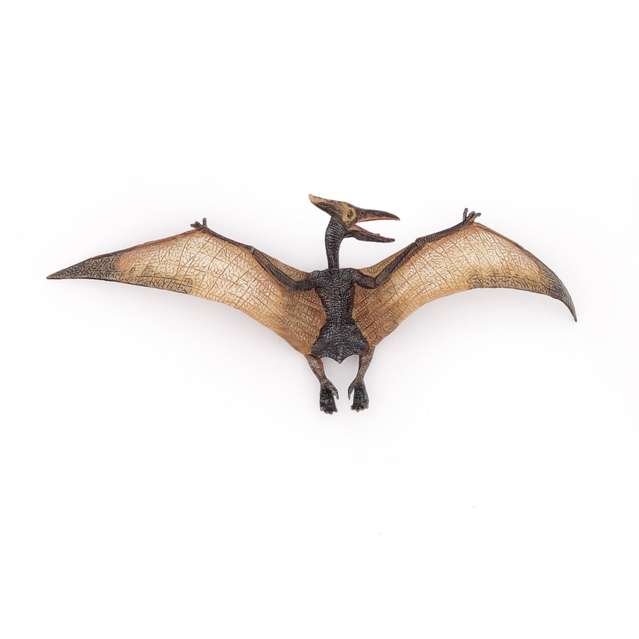 Ptéranodon Papo en PVC, Collection Dinosaures, jouet éducatif idéal pour enfants et collectionneurs