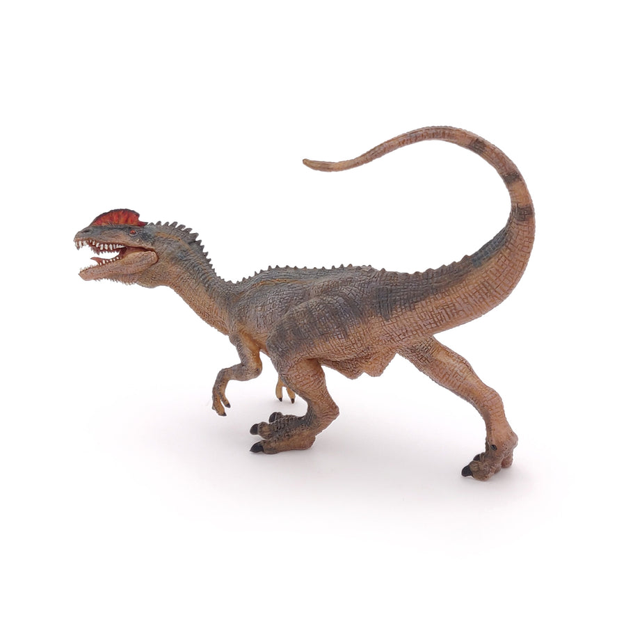 Dilophosaure Papo en PVC, Collection Dinosaures, jouet éducatif idéal pour enfants et collectionneurs