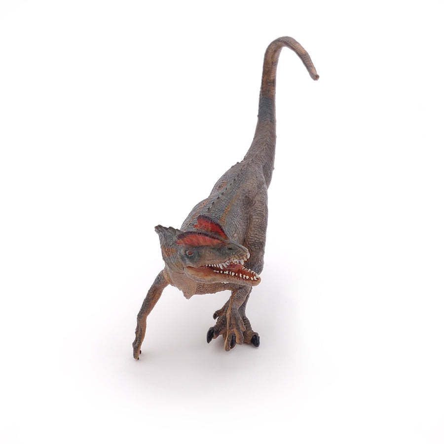 Dilophosaure Papo en PVC, Collection Dinosaures, jouet éducatif idéal pour enfants et collectionneurs