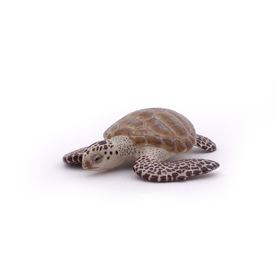 Tortue caouanne Papo en PVC, Collection animaux marins, jouet éducatif idéal pour enfants et collectionneurs