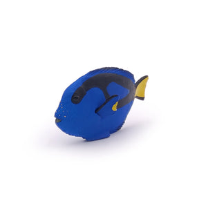 Poisson chirurgien Papo en PVC, Collection animaux marins, jouet éducatif idéal pour enfants et collectionneurs