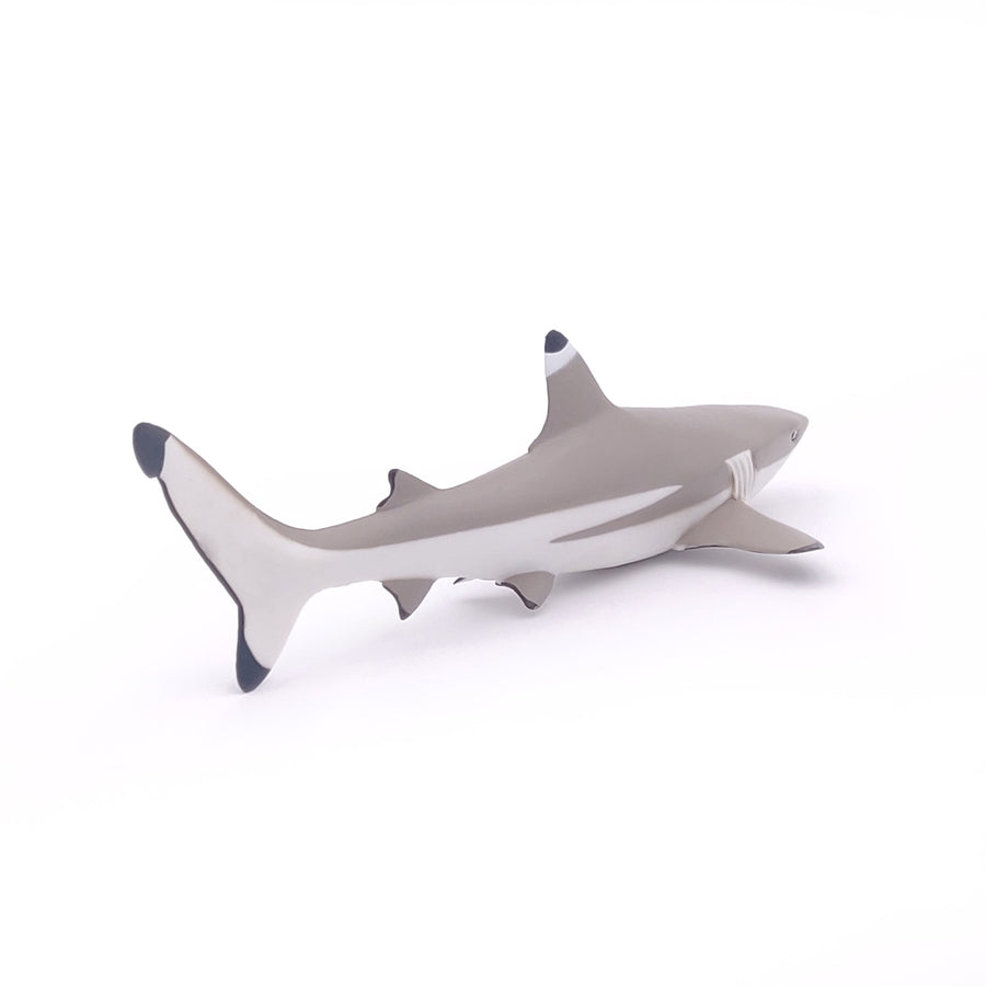 Figurine Requin à pointes noires Papo en PVC, Collection animaux marins, jouet éducatif idéal pour enfants et collectionneurs
