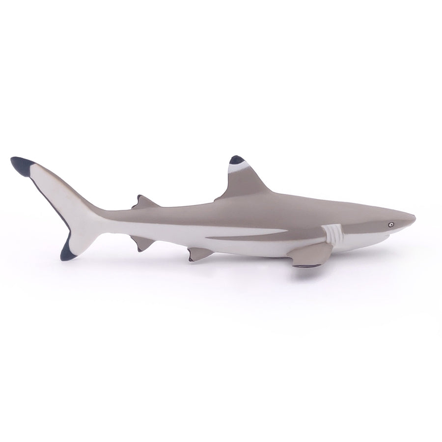 Figurine Requin à pointes noires Papo en PVC, Collection animaux marins, jouet éducatif idéal pour enfants et collectionneurs